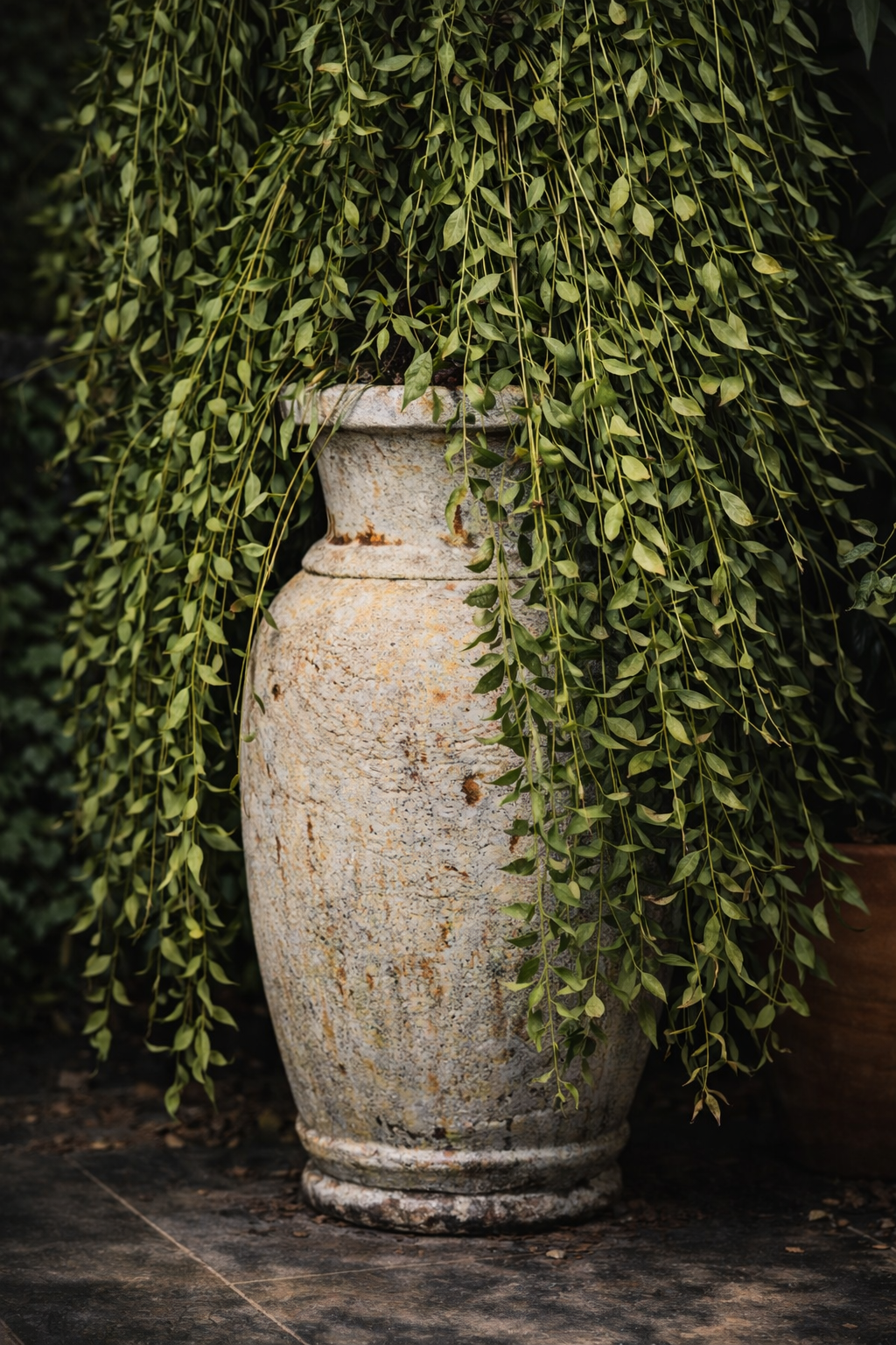 The Kumbha Urn - Image 2