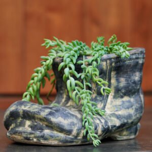 Old Boot Planter