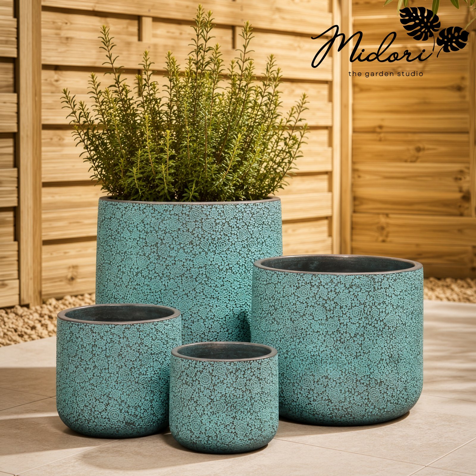 Rosa from Botanica Collection - Image 2