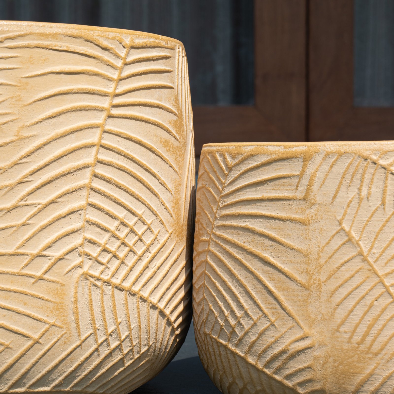 Areca from Botanica Collection - Image 6