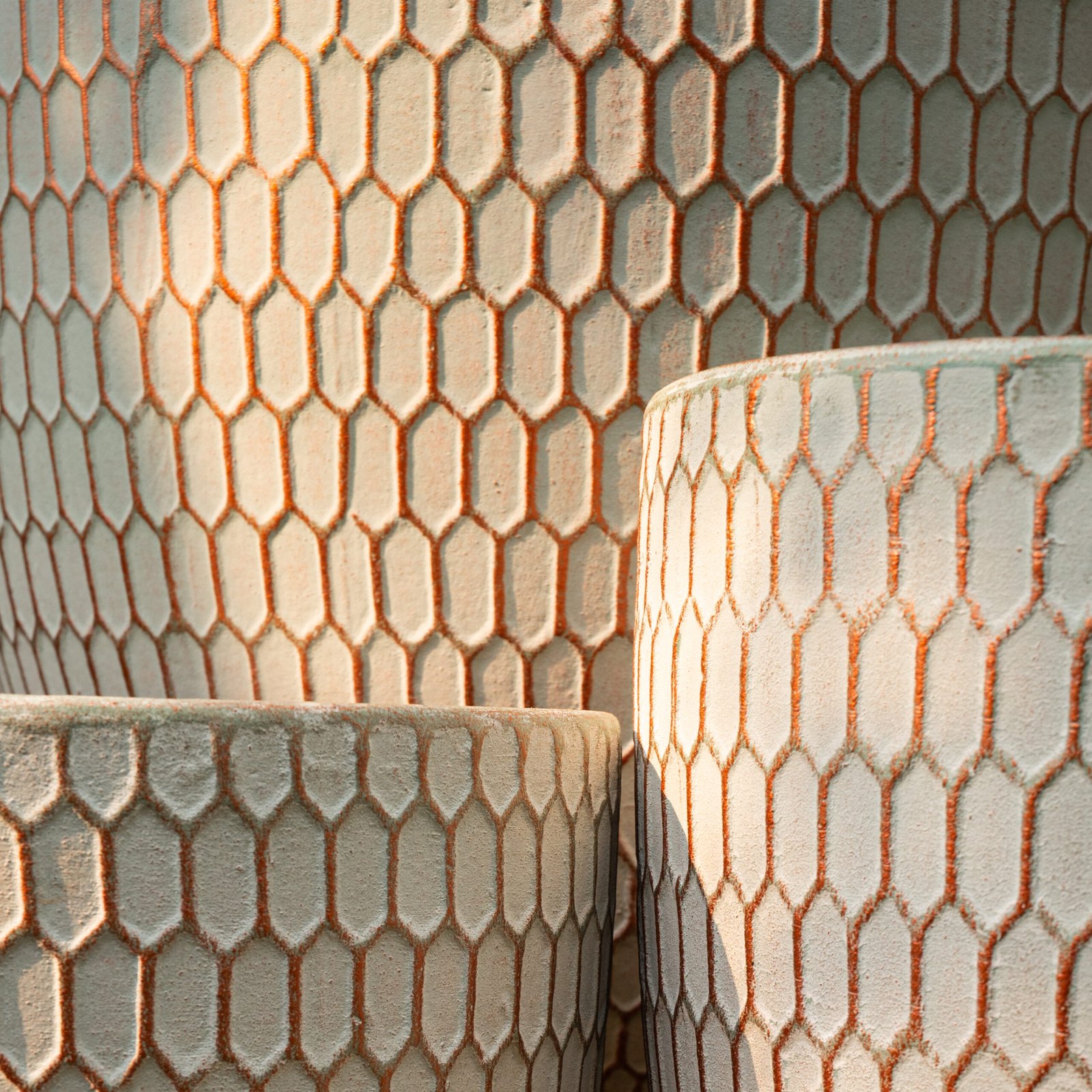 Parchment from Hexora Collection - Image 2