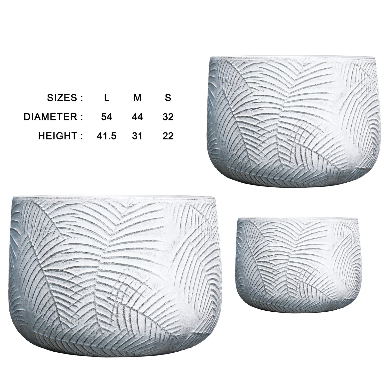 Areca from Botanica Collection - Image 4