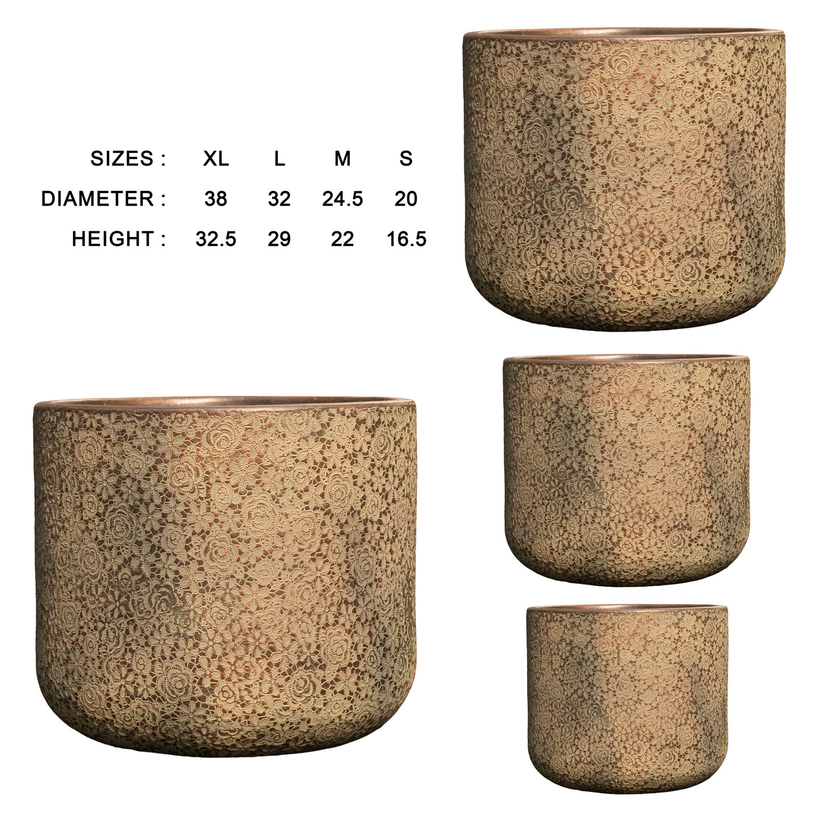 Rosa from Botanica Collection - Image 8