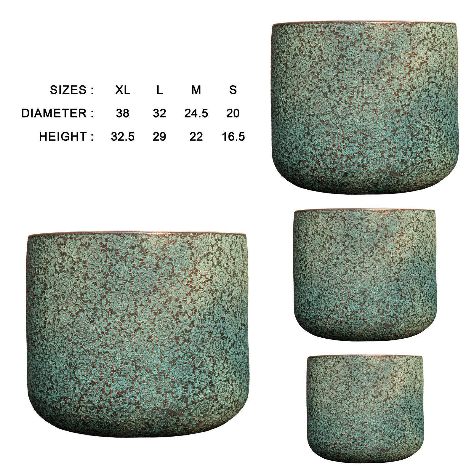 Rosa from Botanica Collection - Image 7